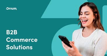 B2B_Solutions_snippet